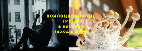 apvp Магадан