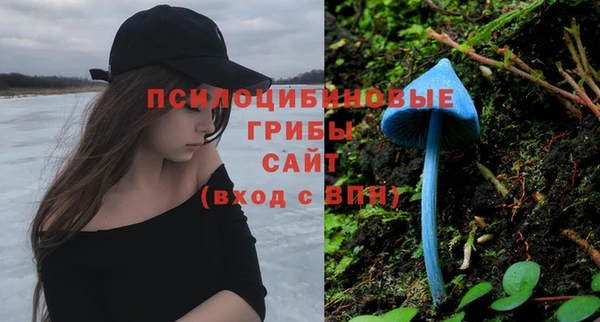 apvp Майский
