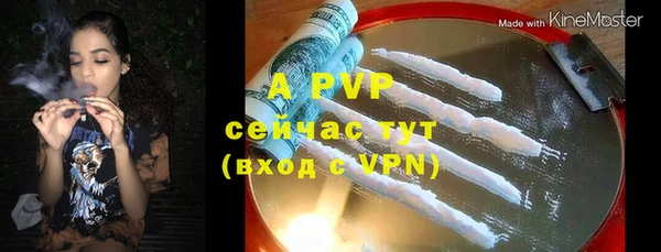 apvp Магадан